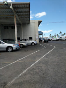 manheim-hawaii-225×300