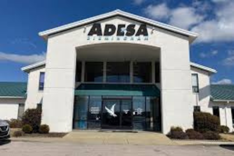 Auctions - Auto Auction Review