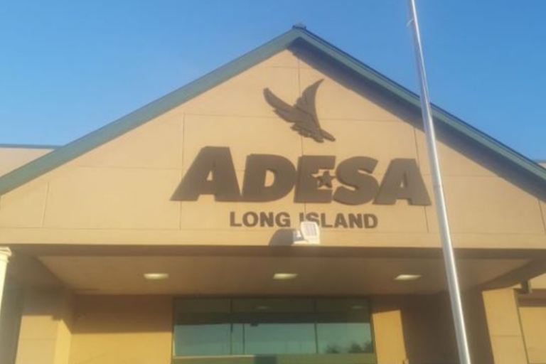 ADESA – Long Island 768x512