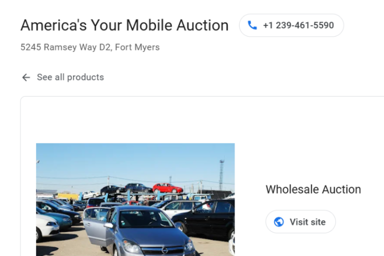 Americas Your Auction Mobile 768x512