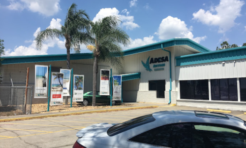 ADESA - Sarasota - Auto Auction Review